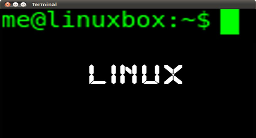 Comandos básicos de linux que todo informático debería saber